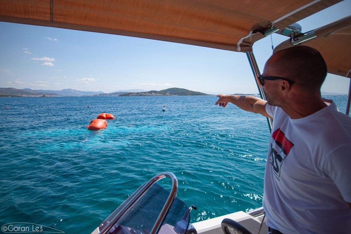 jastreb_rogoznica_podmorje01