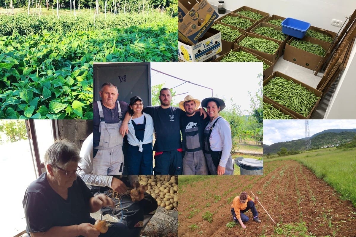 TRUD I RAD SE UVIJEK ISPLATE Složna obitelj Ojdanić u Zagori gradi svoju priču: "Ne odustajte od svojih snova i ciljeva!"