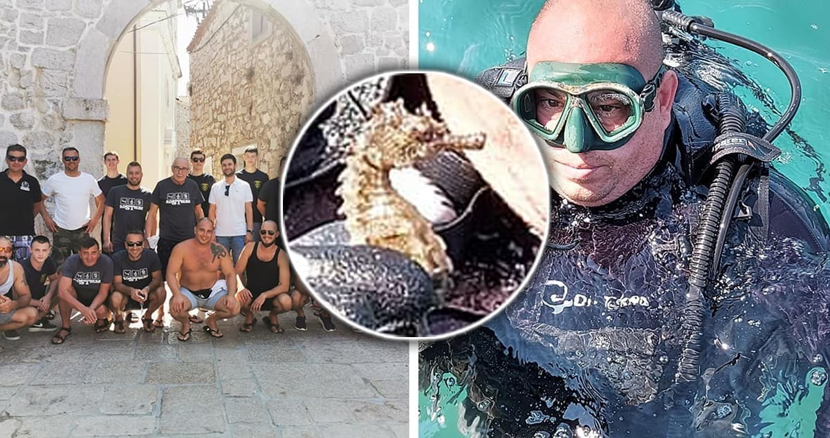 Čudo u Pirovcu: Čistili morsko dno od smeća i nakon 15 godina naišli na morskog konjica