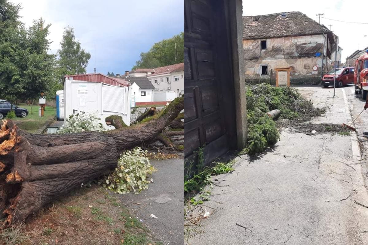 VELIKO NEVRIJEME POGODILO GLINU I PETRINJU Rušila se stabla, sa zgrada pada žbuka, nema struje