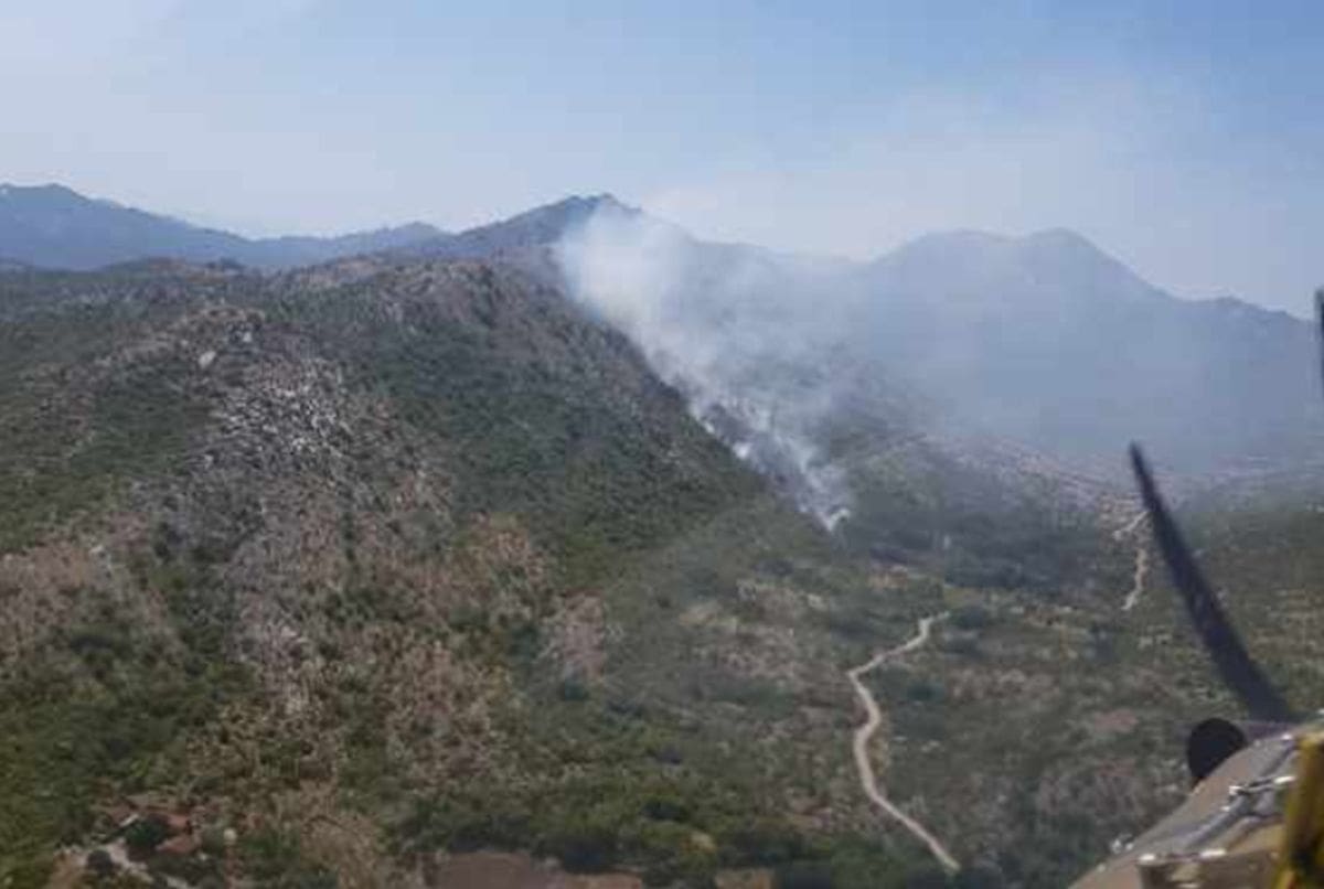 OPET POŽAR U DALMACIJI Na terenu veći broj vatrogasaca, gasi i kanader