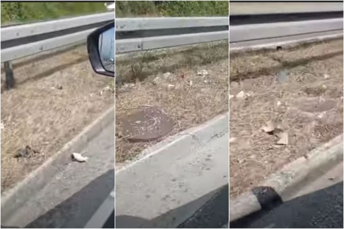 VIDEO Tek nakon što je pokošena trava na brzoj cesti, na vidjelo izašla kaštelanska sramota