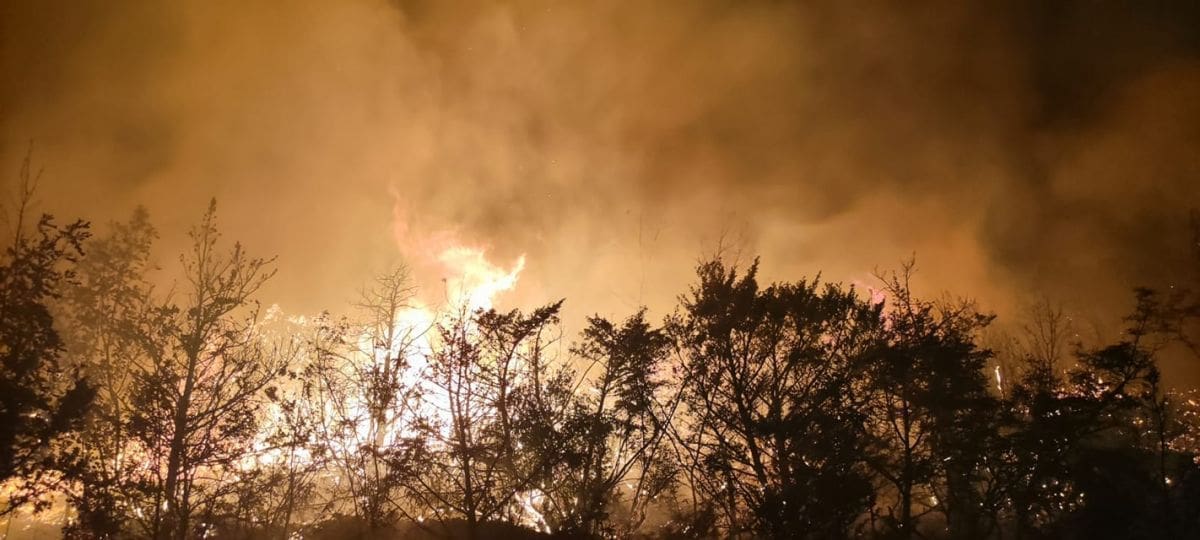 VATRENE STIHIJE NA SVE STRANE U DALMACIJI Najviše požara zabilježeno u ove dvije županije, evo što javljaju vatrogasci