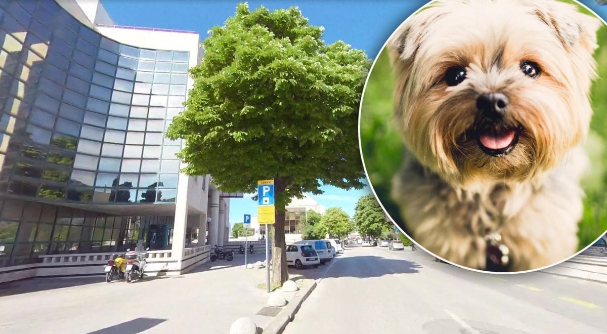 "DRUŠTVO NAM SAZRIJEVA" Vlasnica psa iz Splita presretna da ju je policija upozorila. Evo o čemu se radi