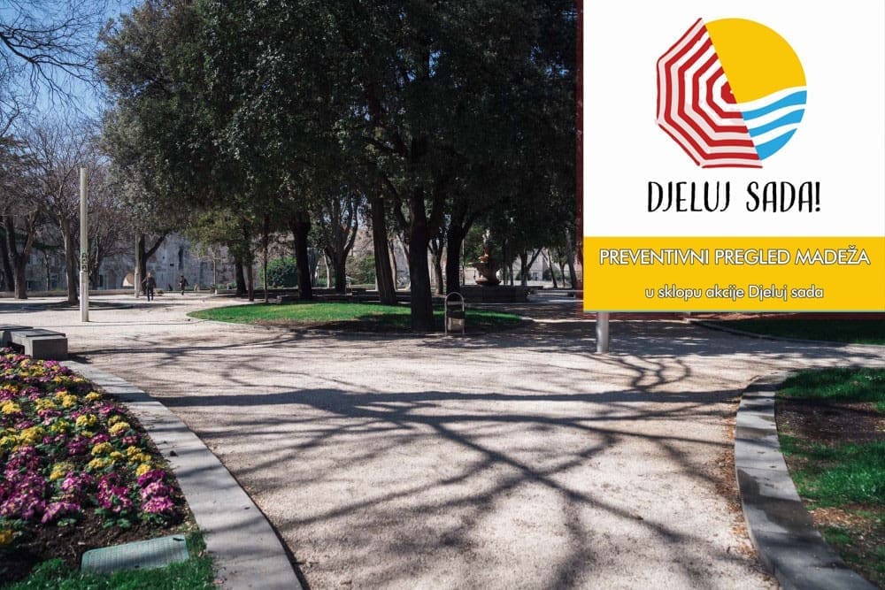 "DJELUJ SADA!" Popunjeni svi termini za besplatan pregled madeža u Đardinu ovog vikenda