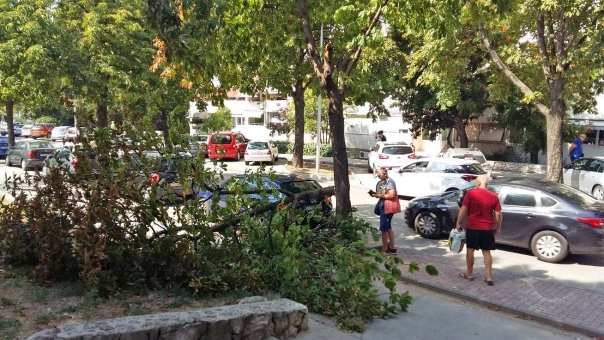 grana-pad-mazuranicevo01