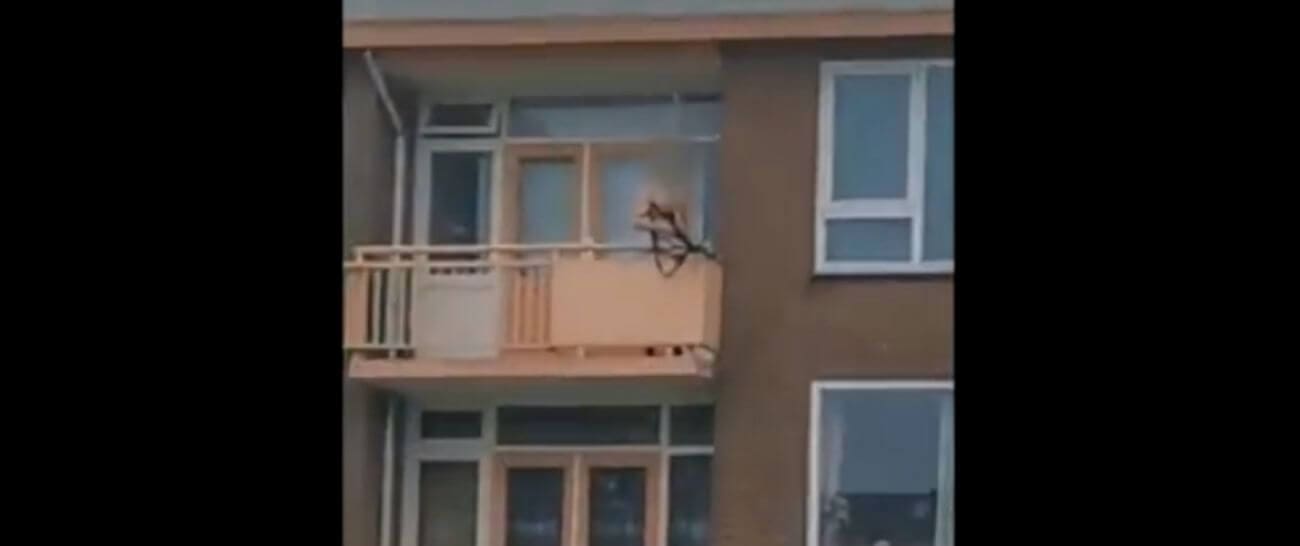 UŽAS U NIZOZEMSKOJ Dvoje mrtvih. Policija pucala na muškarca sa samostrelom