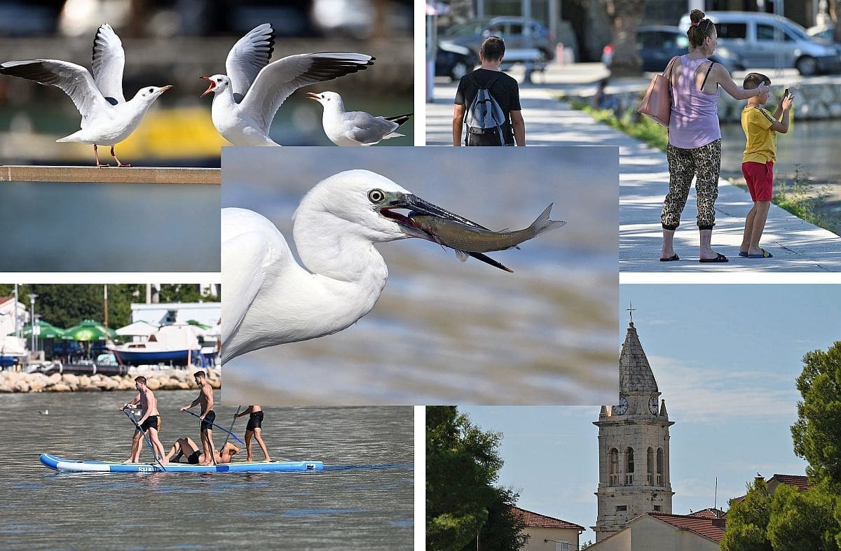 STOBREČ JE U RUJNU NEODOLJIV, PROVJERITE ZAŠTO Gužvi više nema, uživaju ljudi, uživaju i životinje