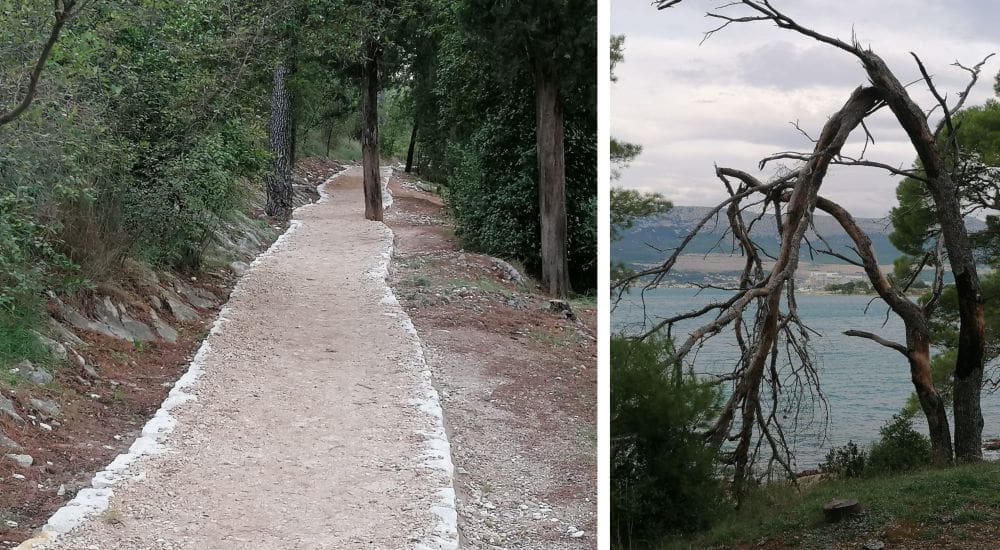 PROMJENE NA MARJANU Dok vam grane i stabla svaki tren mogu pasti na glavu, trim staza poprima novo ruho