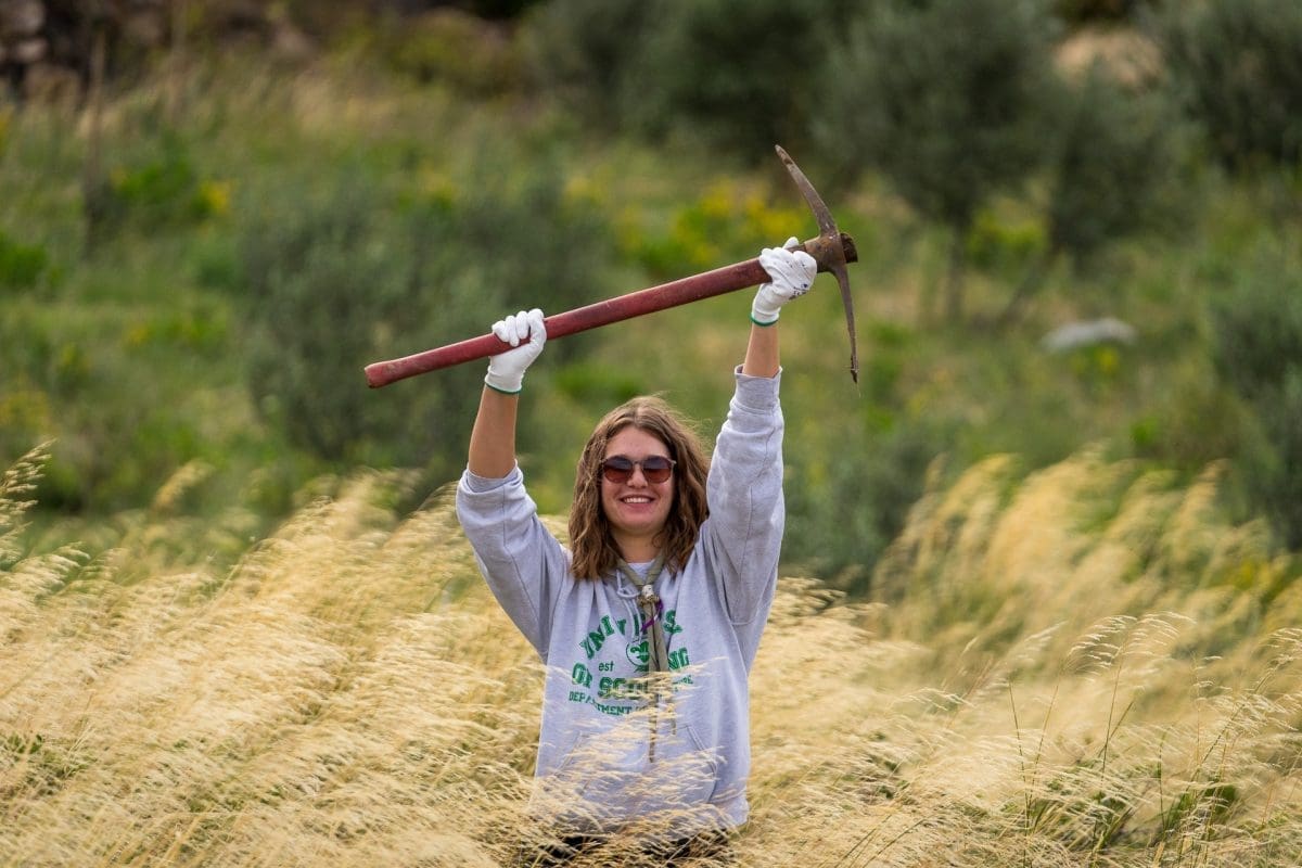 akcija posumljavanja (1)