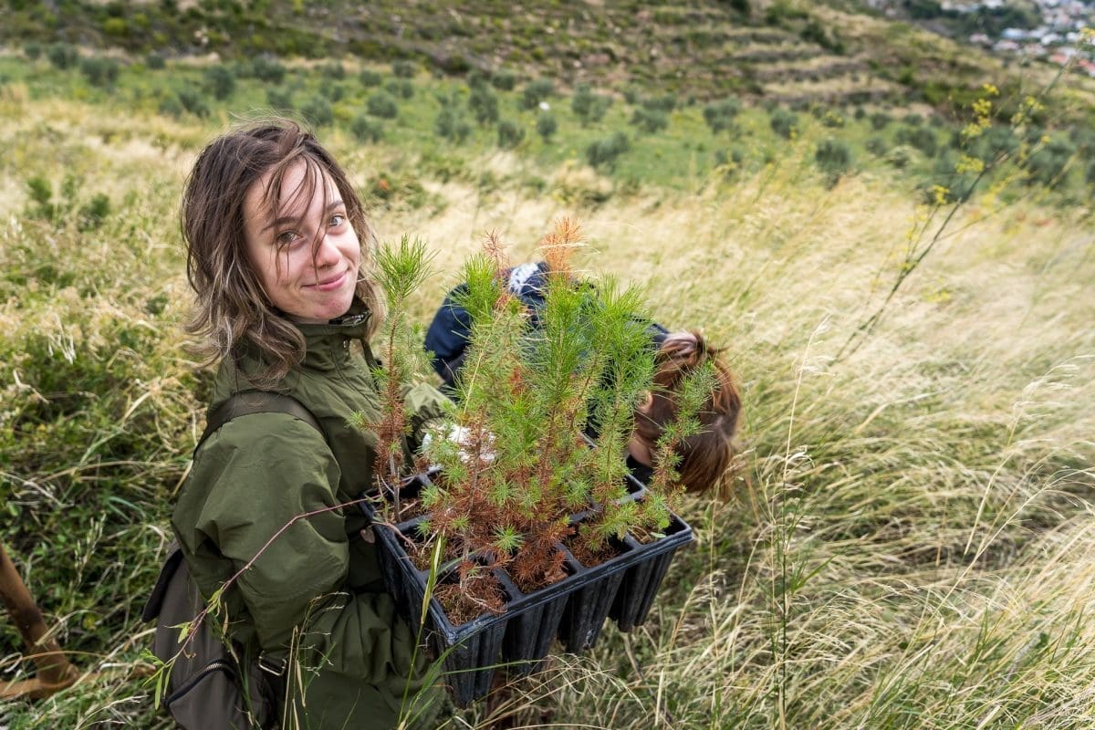 Akcija pošumljavanja opožarenih područja Dalmacije okupila 200 volontera, Hrvatsku vojsku i Hrvatske branitelje