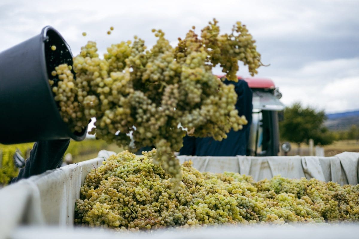 Legendarna dalmatinska tvrtka "seli se" iz Dalmacije, ključne brendove preuzima zagrebačka kompanija