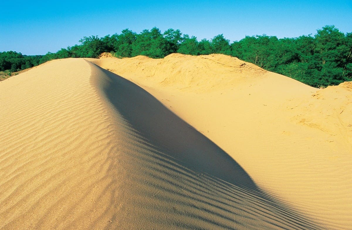 divlja-priroda-hrvatske (24)