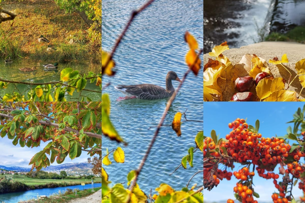 USUSRET KIŠI "Poplava" jesenskih boja uz rijeku Žrnovnicu, uživajte u prizorima