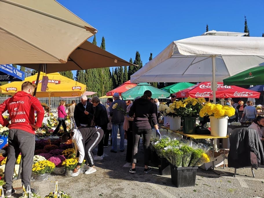 lovrinac-svi-sveti-cvice-guzva(1)