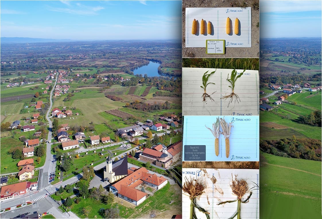 Sinj: Ove srijede besplatno predavanje „Inovativna tehnologija ishrane kukuruza“ za sve proizvođače kukuruza Cetinske krajine