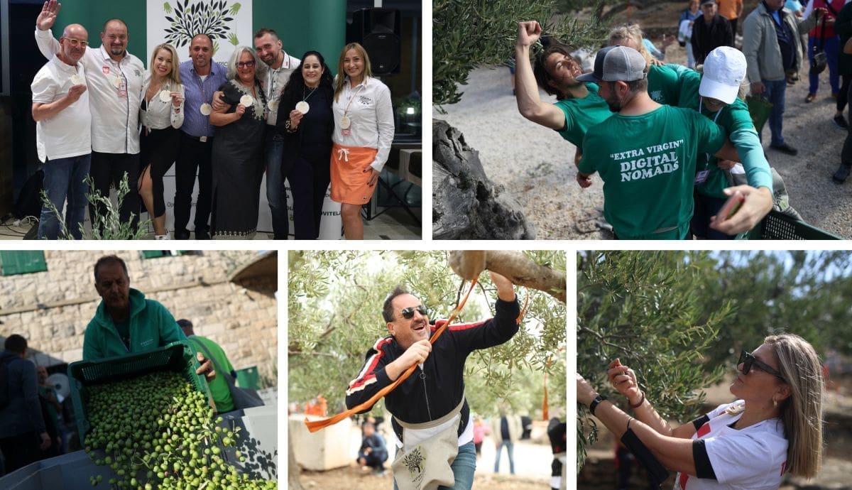 4. SVJETSKO PRVENSTVO U BRANJU MASLINA Boje Hrvatske branili splitski pjevači, glumica i alpinist