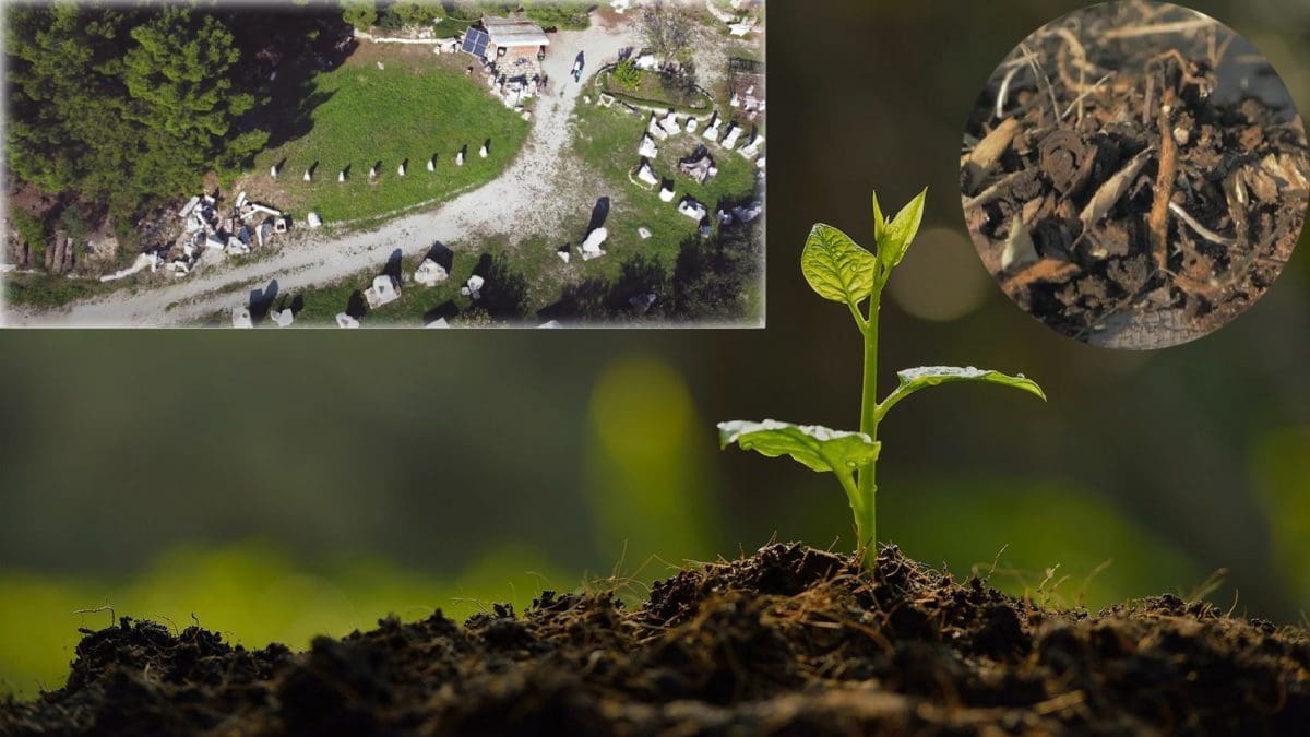 PERMAKULTURA DALMACIJA Edukativni filmovi u sklopu projekta "Vrtovi znanja - od otpada do bogatog tla"