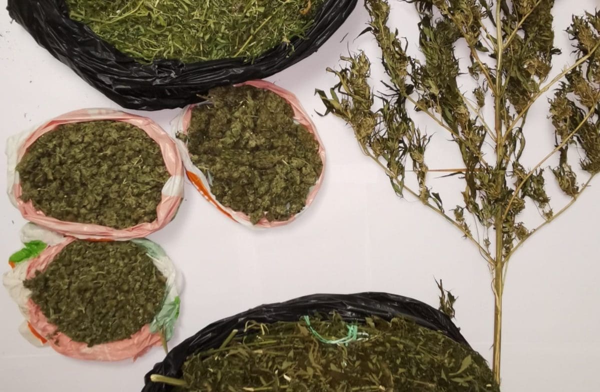 PRONAŠLI MU PET KILOGRAMA MARIHUANE Pritvoren 30-godišnji Sinjanin