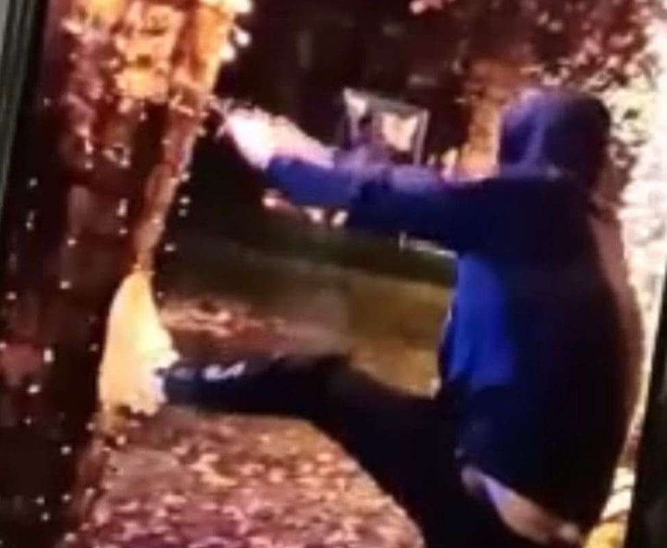 SRAMOTNI VANDALIZAM Mladić uništio lampice postavljene na stablo: "Navedeni događaj je prijavljen policiji"