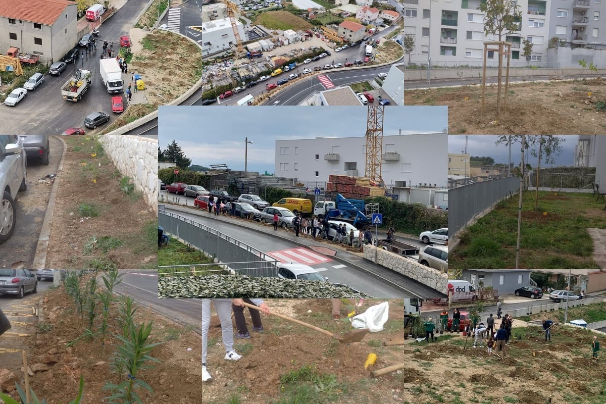 'ZASADI DRVO, NE BUDI PANJ' Predsjednik GK Mejaši: "Bilo je sadnje, bilo je glazbe, a i ja sam uz instrukcije uspješno posadio jedno stablo"