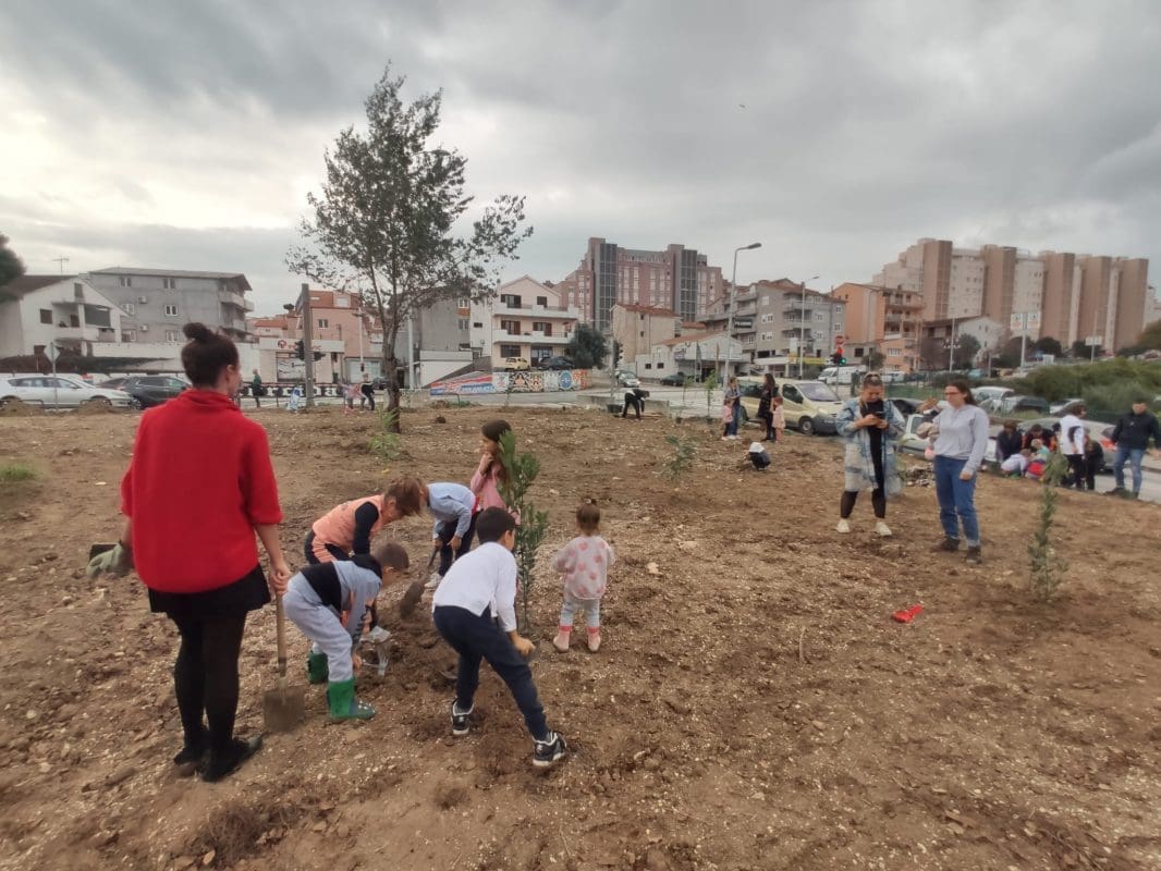 sadnja-na-pujankama(1)