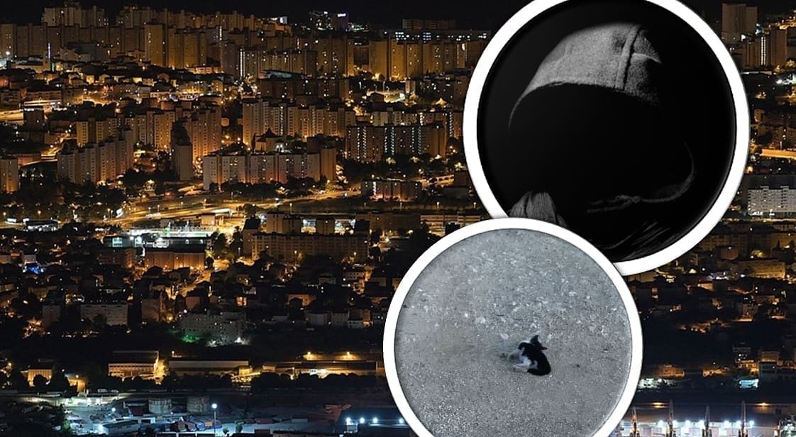 UZNEMIRUJUĆI APEL IZ SPLITA Netko je ljubiteljima životinja unio strah u kosti: "Mačke umiru u mukama, postoji monstrum koji se želi 'dokazati'"