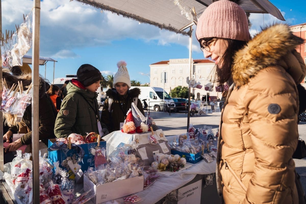 12-8-a-di-si-ti-buvljak-1