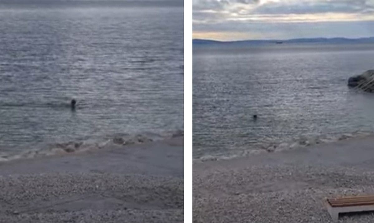 NIJE MU HLADNO Kupač uživao na plaži Žnjan. Znate li kolika je temperatura mora?
