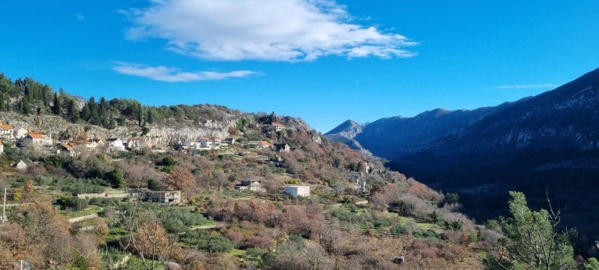 omiska-dinara-imber01