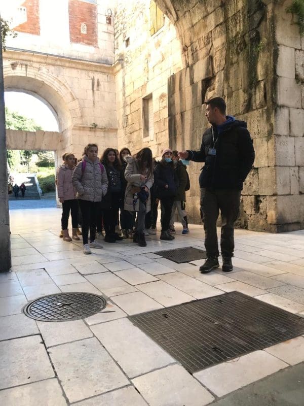 razgledavanje-vodici-gecko(1)