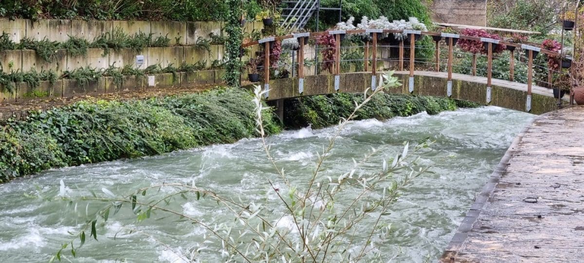 rijeka zrnovnica (1)