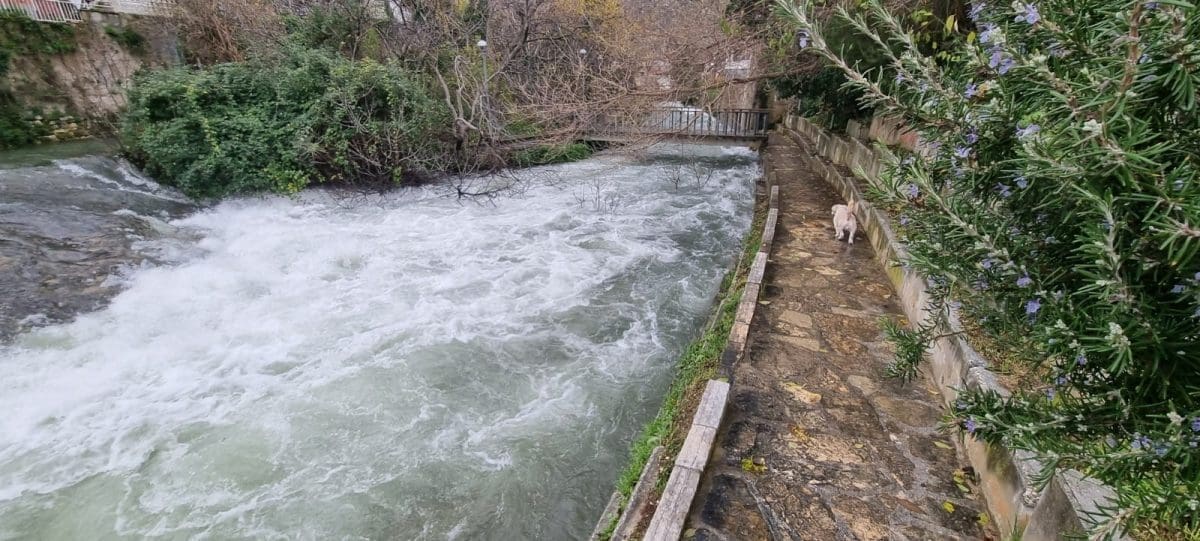 OGROMNI VODOSTAJI U DALMACIJI Obilna kiša prouzročila brojne probleme, Jadro i Žrnovnica ponovno su u velikom porastu. Donosimo vam nevjerojatno prizore