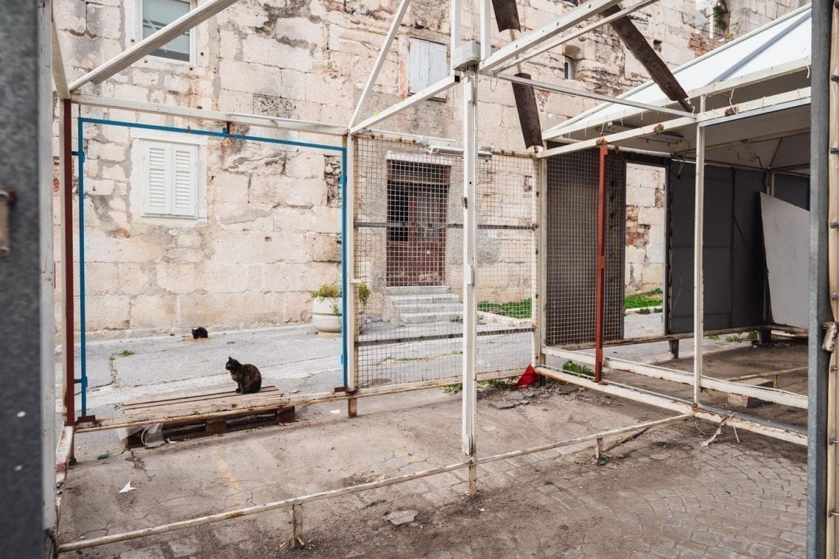 1-31-pazar-rusenje-ciscenje-29 (1)