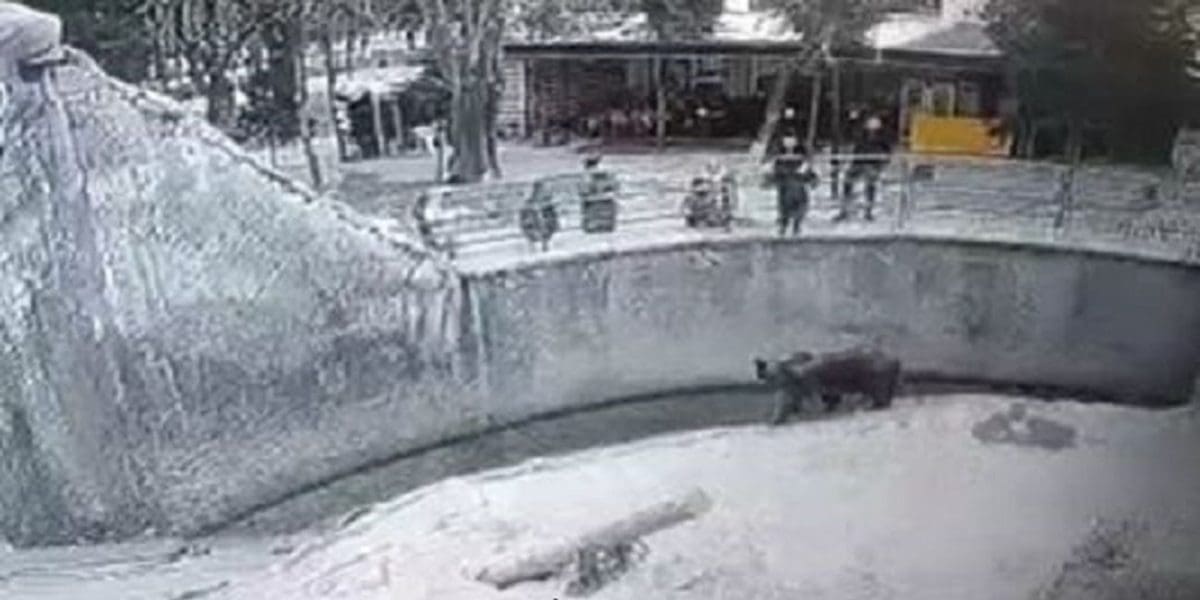 STRAVIČNO Majka u Uzbekistanu bacila kćerkicu u kavez s medvjedima