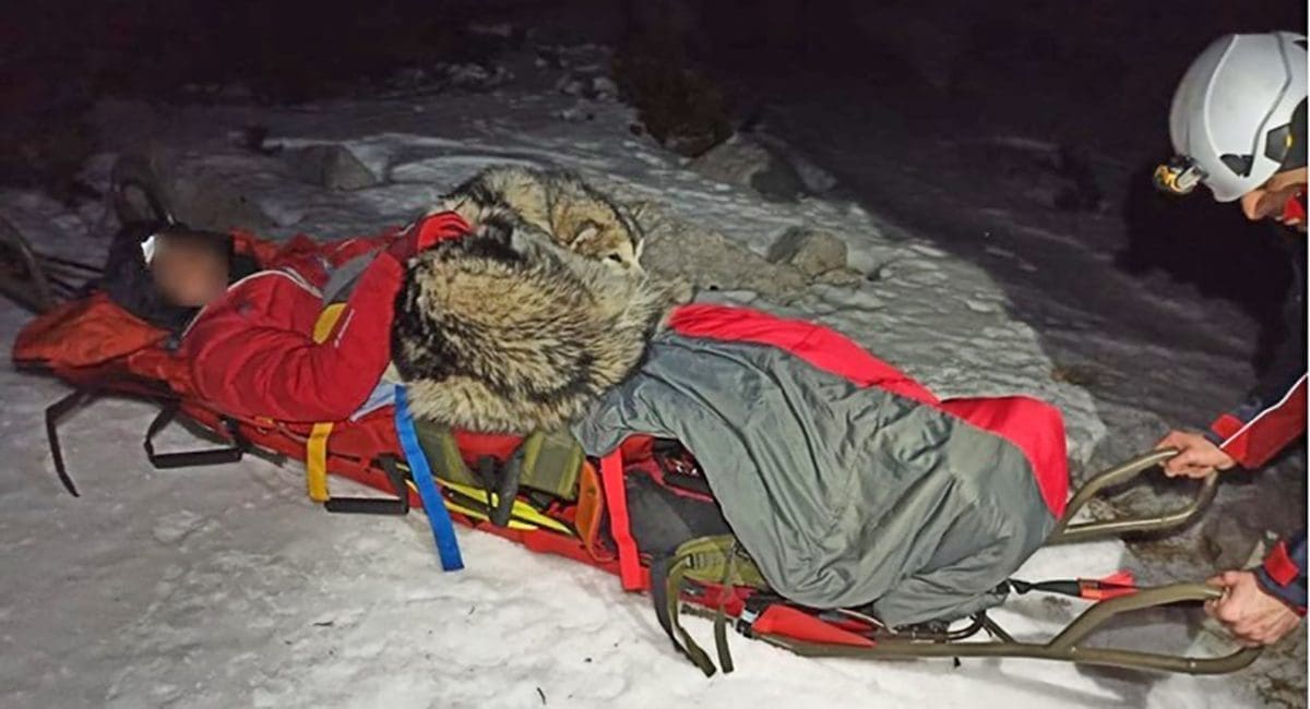 Priča koja je oduševila Hrvatsku, u spašavanju sudjelovala i Splićanka: Pas satima grijao ozlijeđenog vlasnika