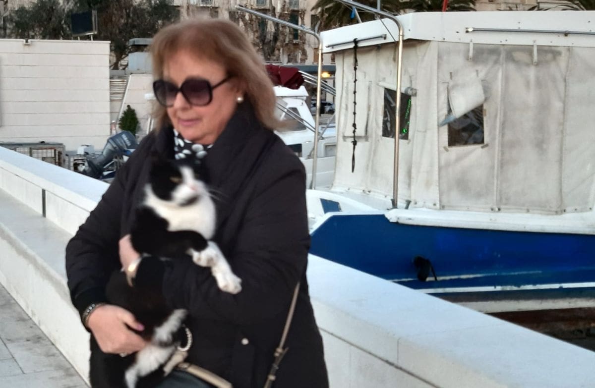 MATEJUŠKA MOŽE ODAHNUTI Mačak Tomi sa Matejuške je živ: "Voli Matejušku, voli 'svoje ljude' s Matejuške i živi slobodnim mačjim životom"