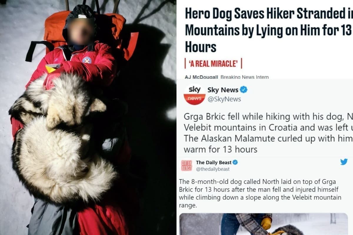 U SVIM SVJETSKIM MEDIJIMA Pas koji je spasio planinara na Velebitu postao globalna zvijezda: Način na koji pišu o 'čudu iz Hrvatske' dira u srce