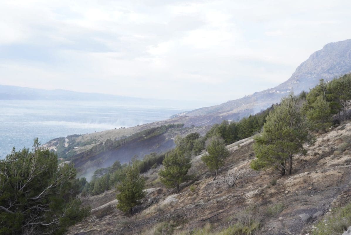 pozar-lokva-rogoznica (9)