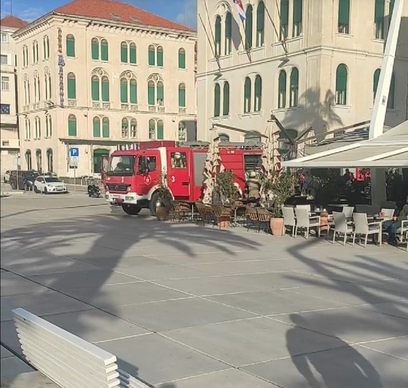 pozar olive tree (1)