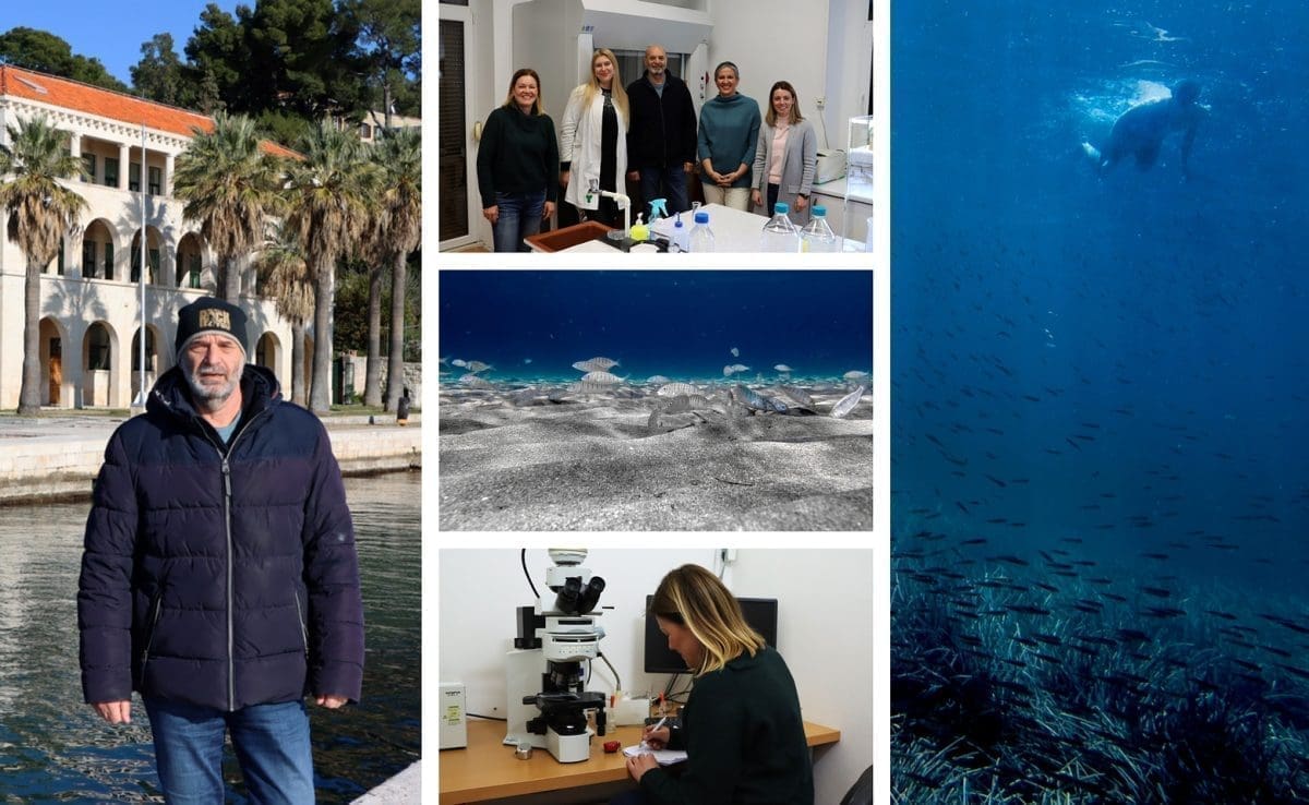 ODUŠEVIT ĆETE SE! Splitski znanstvenici došli do novog otkrića o najsitnijim bićima u Jadranu