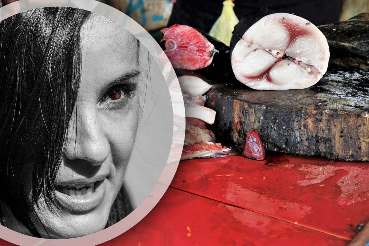 Pojedini mediji pišu da Gotovina jeftinu tunu iz Libije uvozi uz blagoslov resorne ministrice. Vučković objasnila kako funkcioniraju stvari