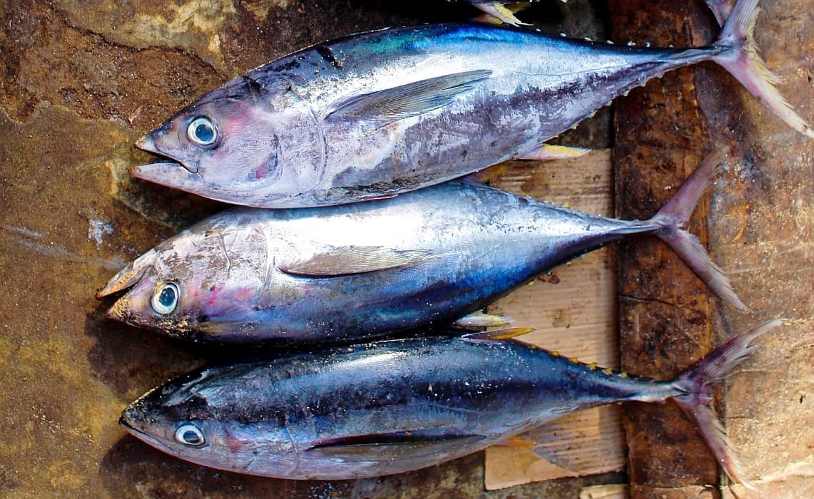 ISPRAVAK INFORMACIJE Tvrtka generala Gotovine opovrgava navode Pupić Bakrač: "Tekst sadrži čitav niz neistina"