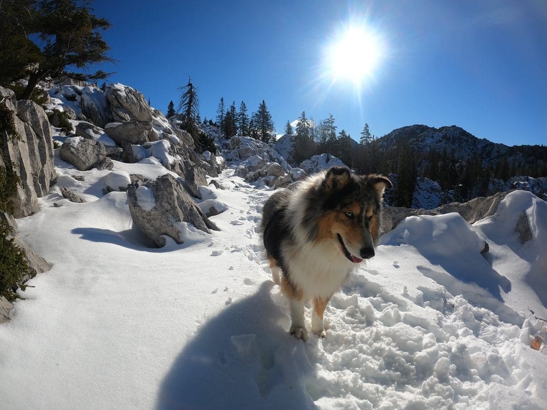 velebit-jure-rakuljic01