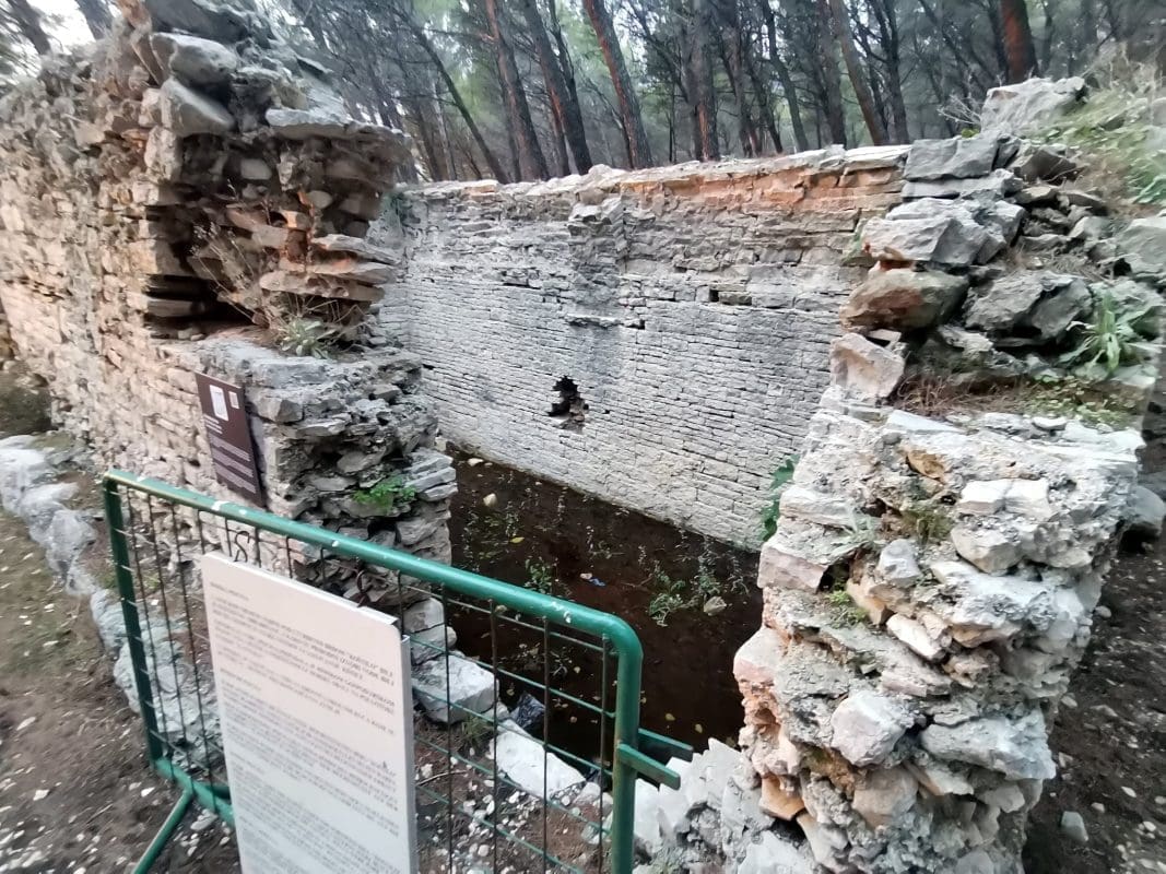 ZAPUŠTENA PISCINA NA ZLATNOM RATU: Ne čekajući odluku Ministarstva, započeli smo radove na obnovi piscine