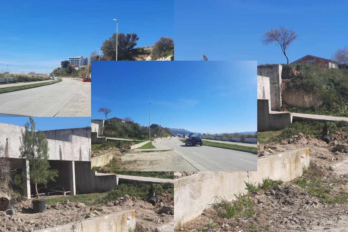 ZELENIJI SPLIT Počela sadnja diljem grada, ukupno će se posaditi 443 stabla