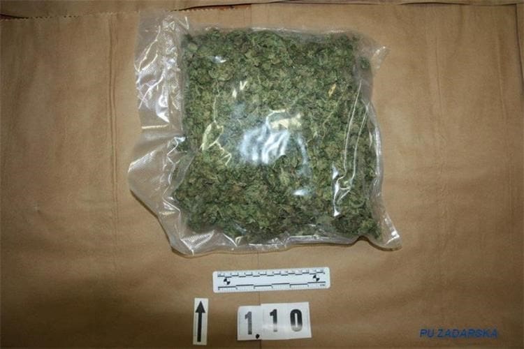 "PAO" 21-GODIŠNJAK U stanu u Trogiru mu pronašli preko pola kilograma marihuane