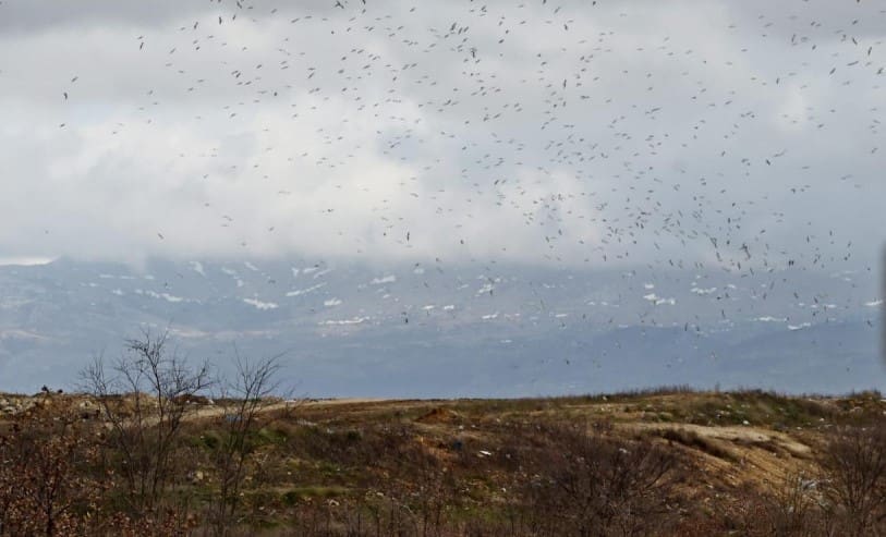 HDZ uputio u proceduru donošenja prijedlog Odluke o utvrđivanju naknade stanovnicima koji žive u blizini odlagališta Mojanka