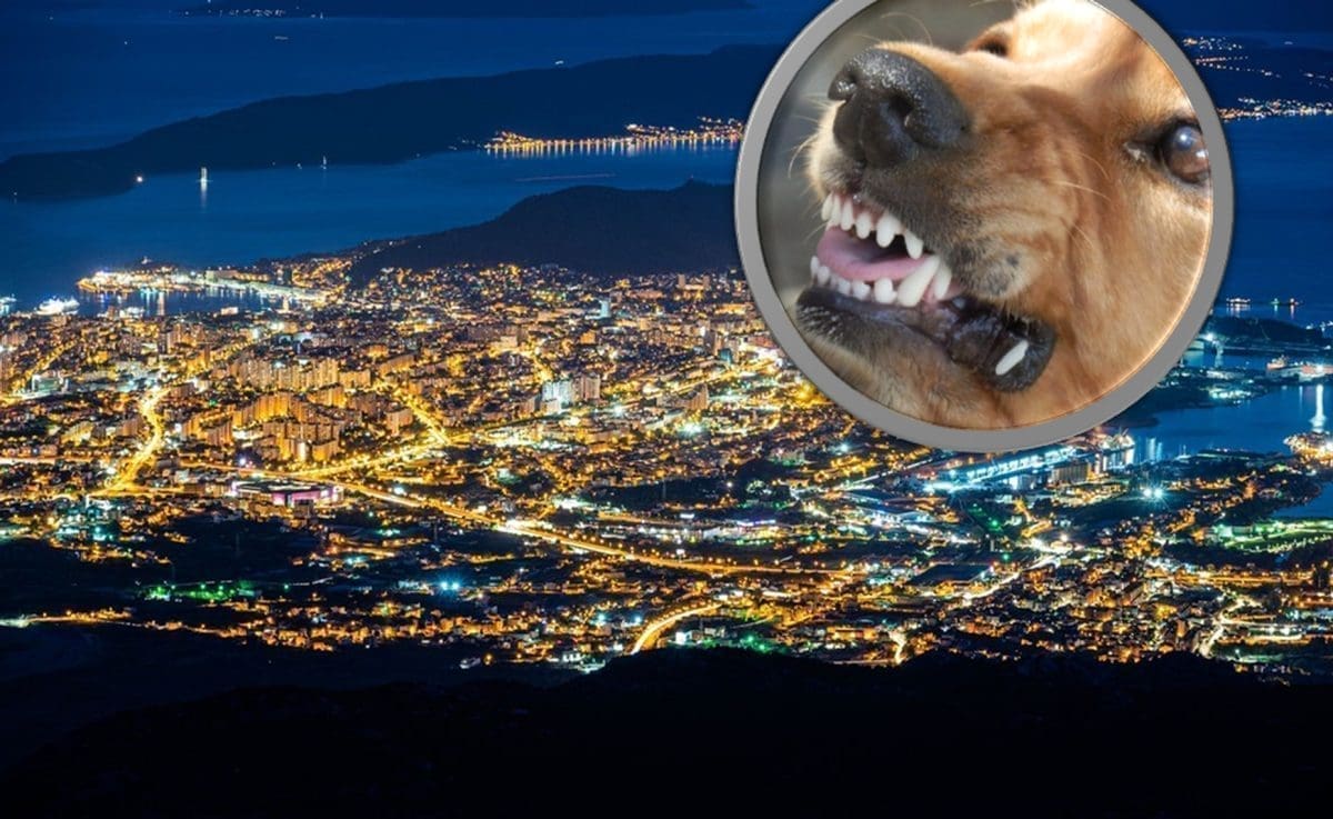 UŽASNA SCENA NA SPLITSKOJ PERIFERIJI Čovjek se jedva izvukao od napada krvoločnih pasa: "Zalijetali su se prema meni, jedva sam pobjegao. U šoku sam..."