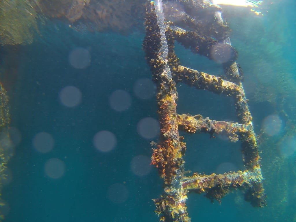 podmorje-pomorska-skola (1)